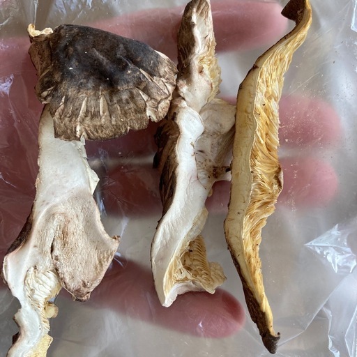 大分県竹田市産干し椎茸どんこスライス80 g (ゆう) 別府の食品の