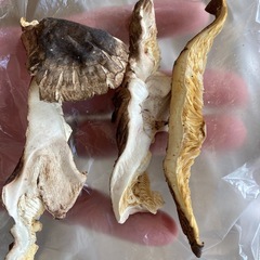 【値下げ】大分県竹田市産　干し椎茸どんこスライス80 gの画像