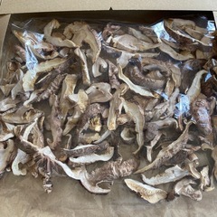 【値下げ】大分県竹田市産　干し椎茸どんこスライス80 g
