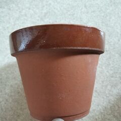 植木鉢