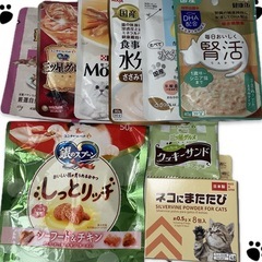 猫　パウチ　オヤツ　キャットフード　シニア　セット