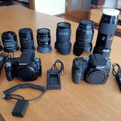 ミラーレスデジタル一眼レフSONY　α100とα33の2台セットの画像