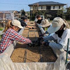 田植え稲刈り体験。興味のある方、お気軽に参加頂けます