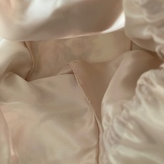 未使用！Victorian Rose ヴィクトリアンローズ　ポーチ レアの画像