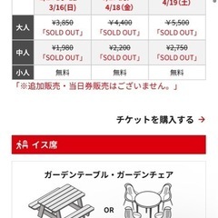 琉球海炎祭2025 チケット　　フリーエリア　イスなしの画像