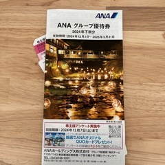 ANA株主優待券の画像