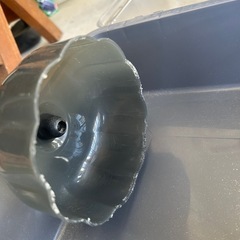 小動物　ゲージの画像