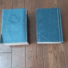 【古書】広辞林 大字典の画像