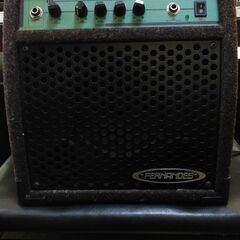 FERNANDES　BLUE SONIC BS-15