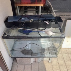 水槽　ポンプ清掃具一式60cm