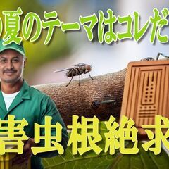 【8月までの短期】農薬製造工場での包装・梱包スタッフ募集！