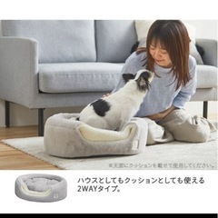 未使用！ペットベッドの画像