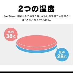 未使用！ペット用ホットカーペットの画像