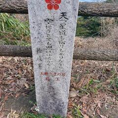 筑紫野、太宰府、大野城、春日近くの公園を散歩しませんか？ 