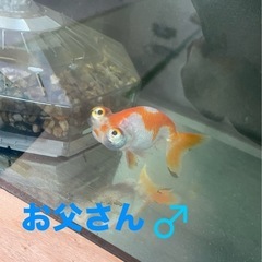 締め切りました。只今受付中止 の画像