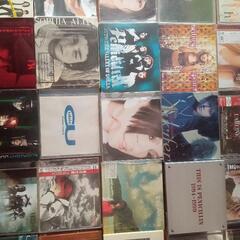 CD.8の画像