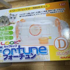 ハムスター ルックルックフォーチュンD