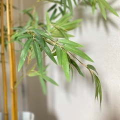 【お譲り決定】
フェイク観葉植物の画像