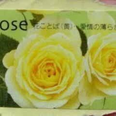 シールセットの画像
