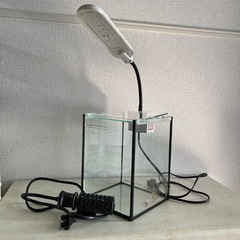 水槽　LEDライト　温度計　オートヒーター　
4点セット