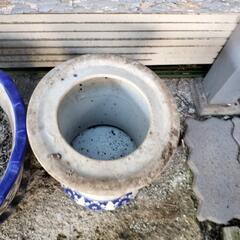 鉢２点差し上げます！の画像