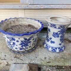 鉢２点差し上げます！の画像