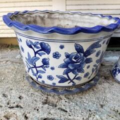 鉢２点差し上げます！の画像