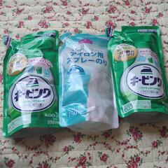 (アイロン用のり剤)キーピング2本(トップバリュー)アイロン用ス...