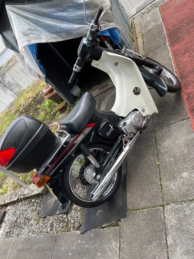 スズキ　バーディー50