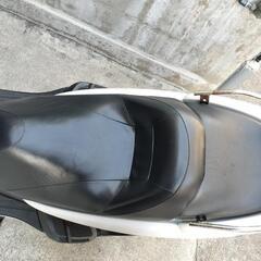 マジェスティ　SG03の画像