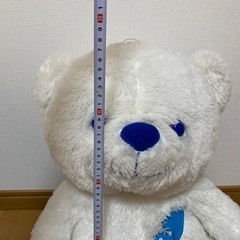 白クマのぬいぐるみの画像