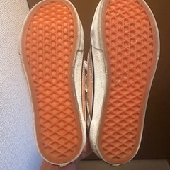 23cm  VANSの画像