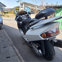 フォルツァの画像