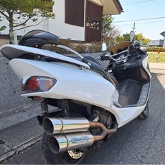 フォルツァの画像