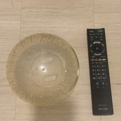 ハムスターお散歩🐹ボール(大)の画像