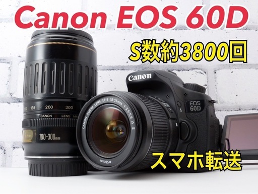 S数約3800回！Canon EOS 60D●超望遠付き●スマホ転送可能  1ヶ月動作補償あり！ 安心のゆうパック代引き発送！ 送料、代引き手数料無料！