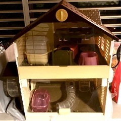 値下げ　パピプペット　ハムスターハウスセット　BANDAI バン...