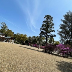 第３回𖧷廣田神社⛩️リトリート（開運弁当付き） − 兵庫県