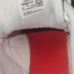 PUMA×フェラーリコラボ靴の画像