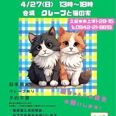 保護猫譲渡会4/27(日)