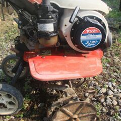 ヤンマー　管理機　MT30DXの画像