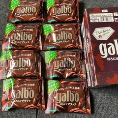 明治　galbo ほろ苦ブラック8袋セット