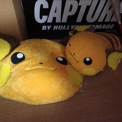 ポケモンライチュウまとめて