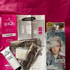 Granny Silver Schwarzkopfブリーチ　シルバー　Got2Bセットの画像