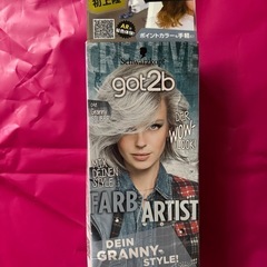 Granny Silver Schwarzkopfブリーチ　シル...