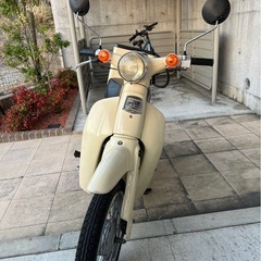 リトルカブ 4速 セル付き 75cc
