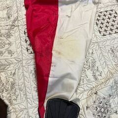 Rossignol　スキーバッグの画像