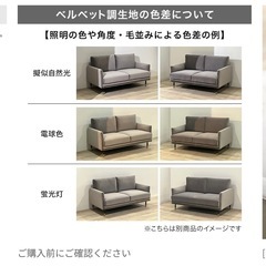 【最終値下げ】[幅115.5] 2人掛けソファ 木脚 クッション ベルベット調  LOWYAの画像