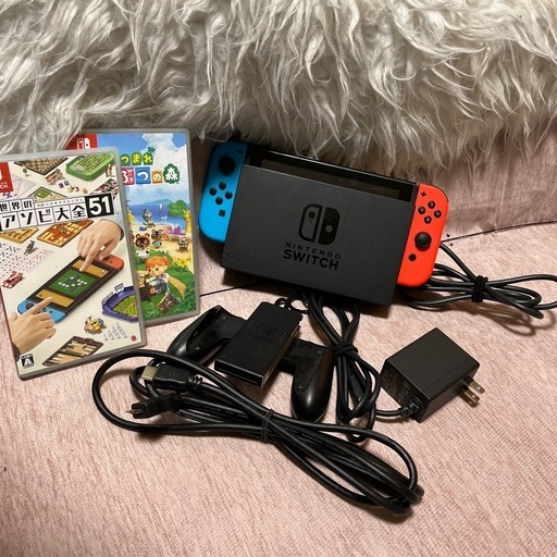 ニンテンドー　switchソフト付　集まれ動物の森