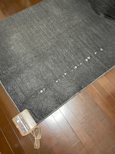 あげます無料パナソニックホットカーペット2畳 (Miyuki) 荒本の